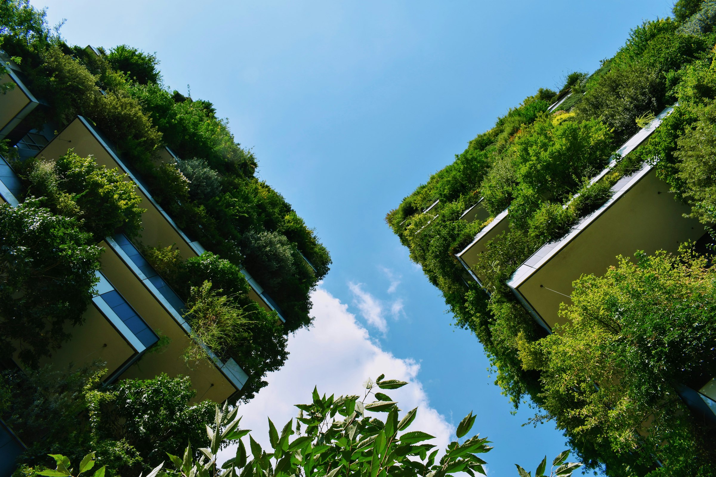 A commercial building facade with planting on every level